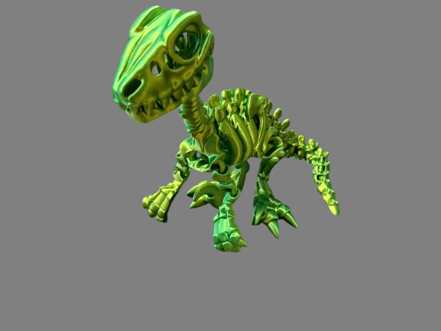 Raptor Fossil