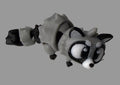 Raccoon