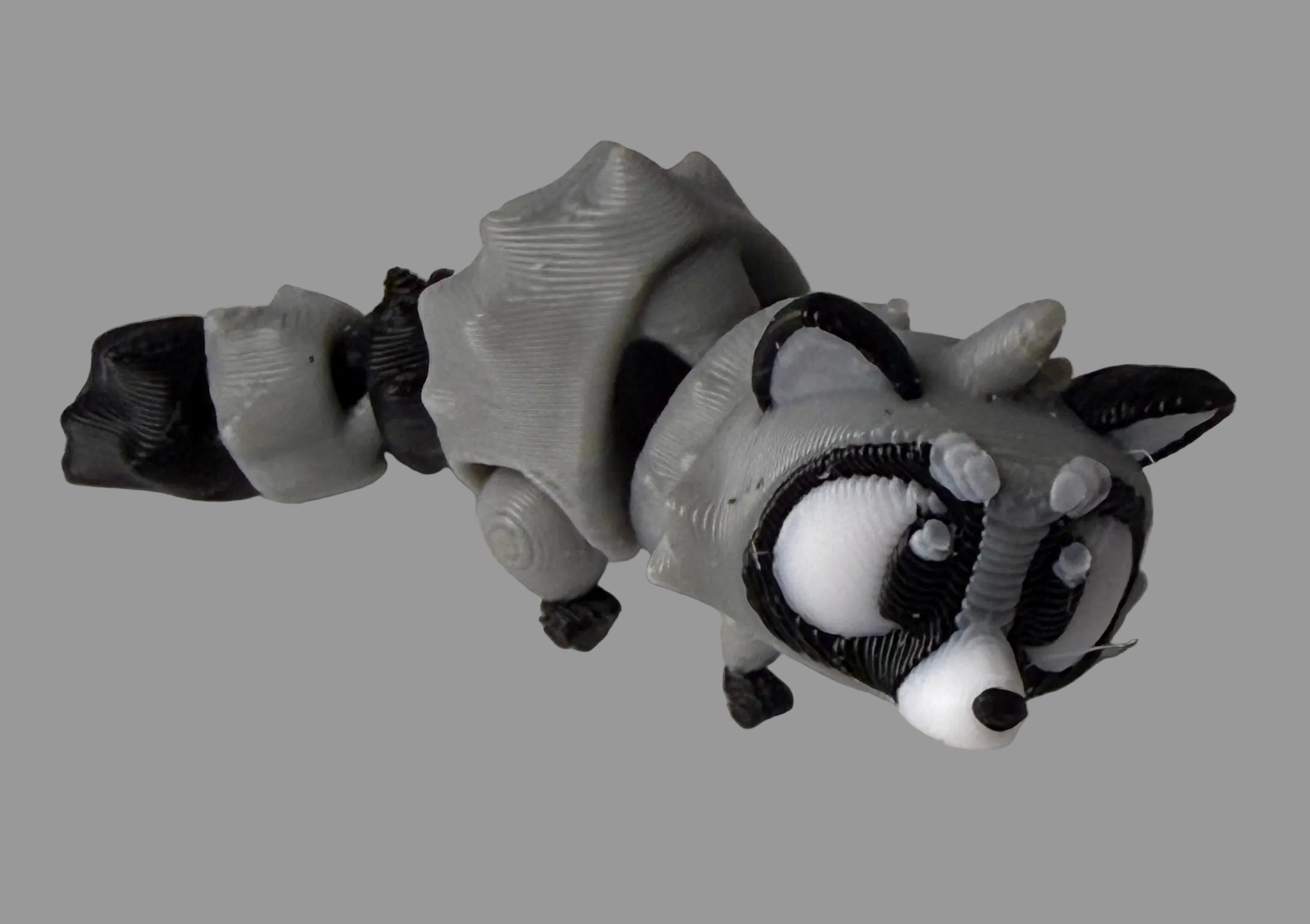 Raccoon