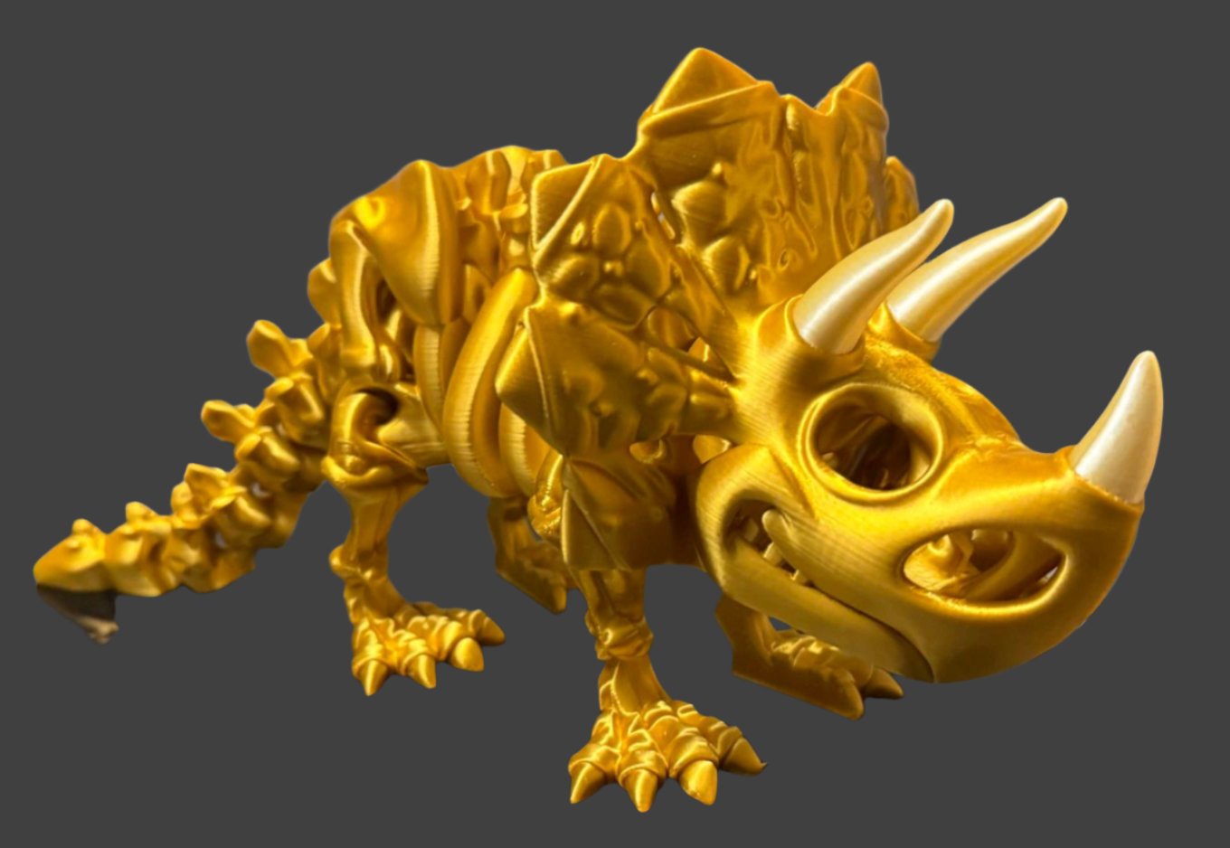 Skeleton Triceratops