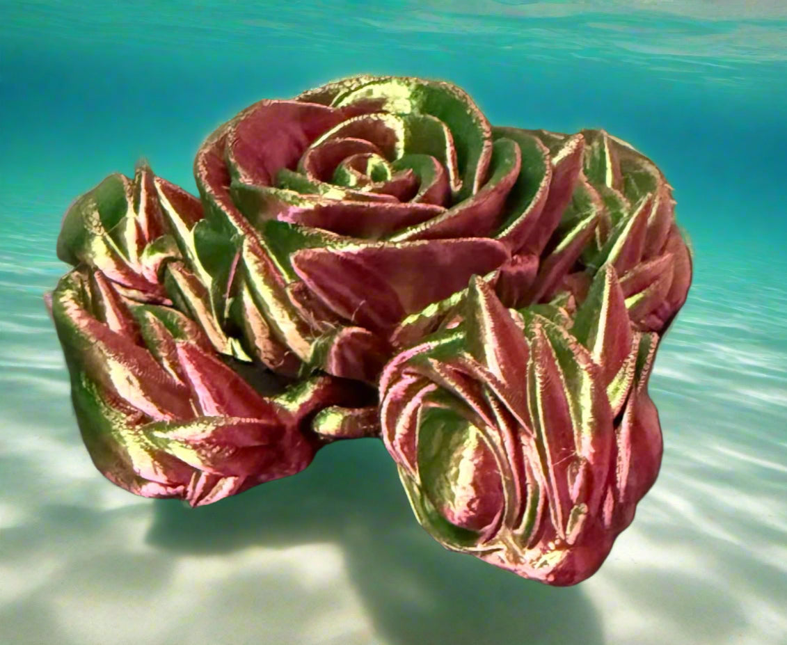 Rose Turtle