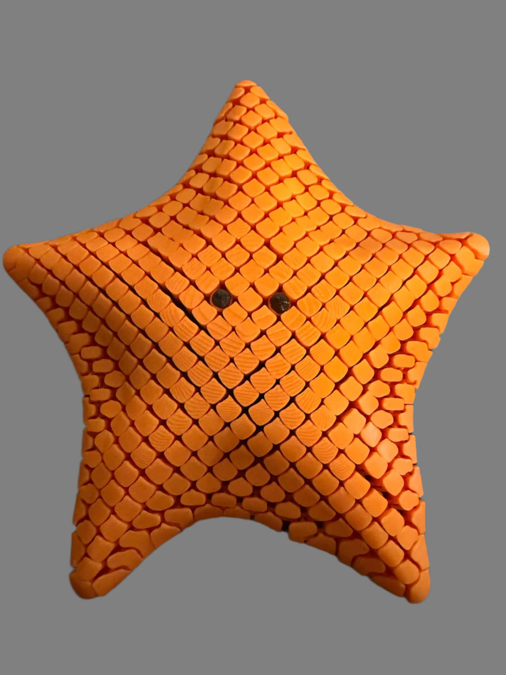 Flexi Articulated Starfish