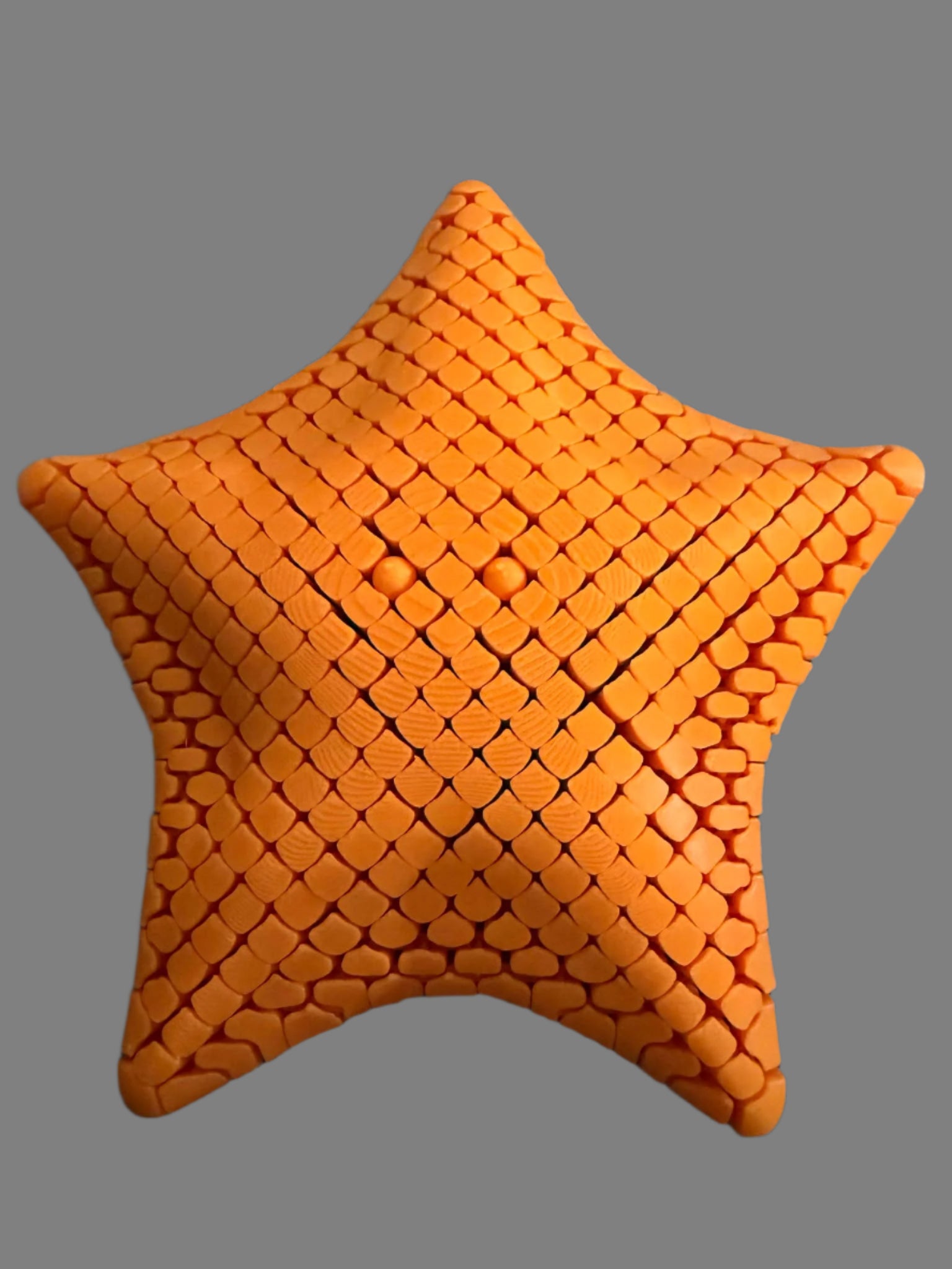 Flexi Articulated Starfish