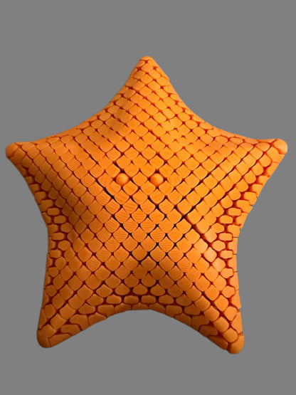 Flexi Articulated Starfish