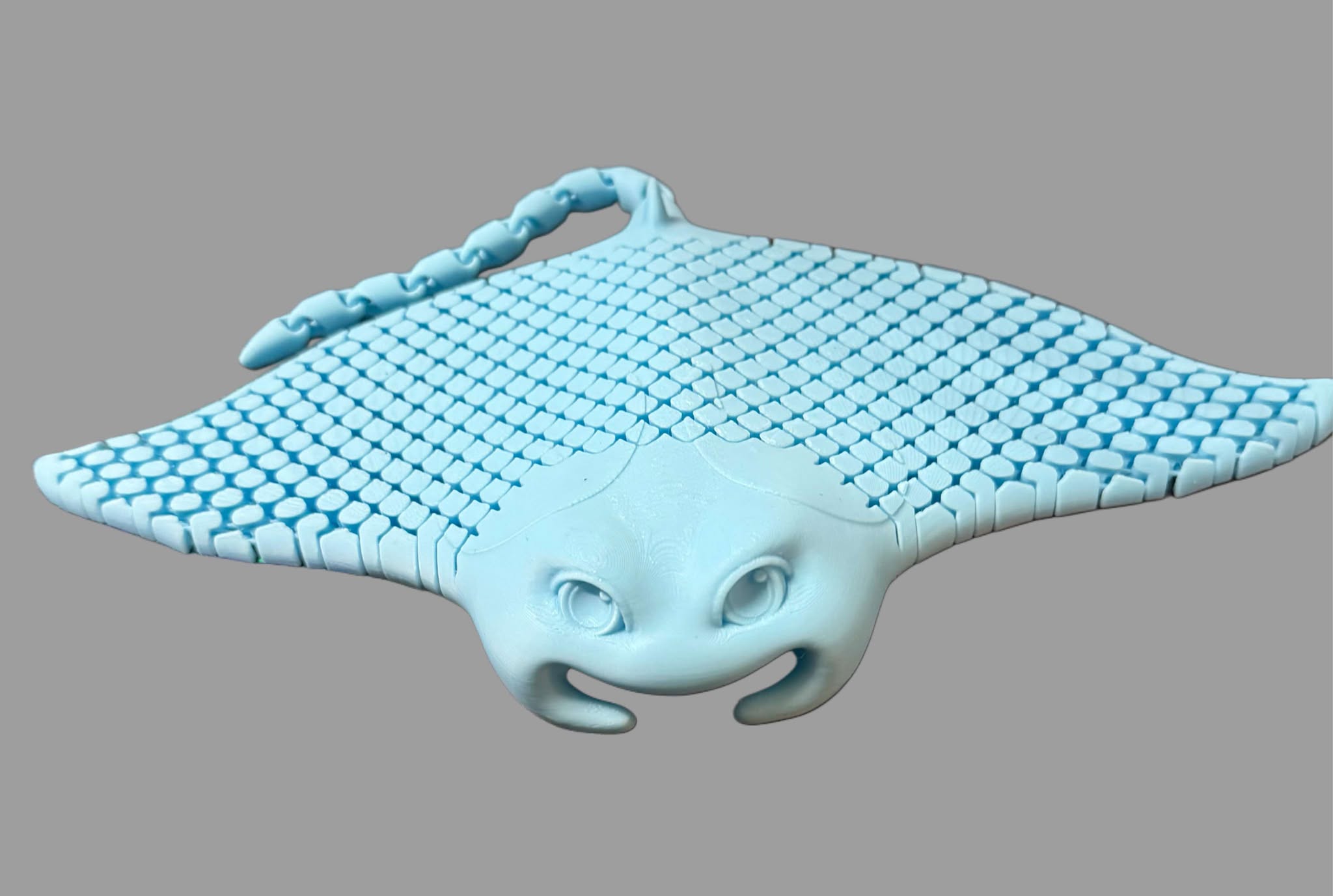 Flexi Articulated Sting Ray