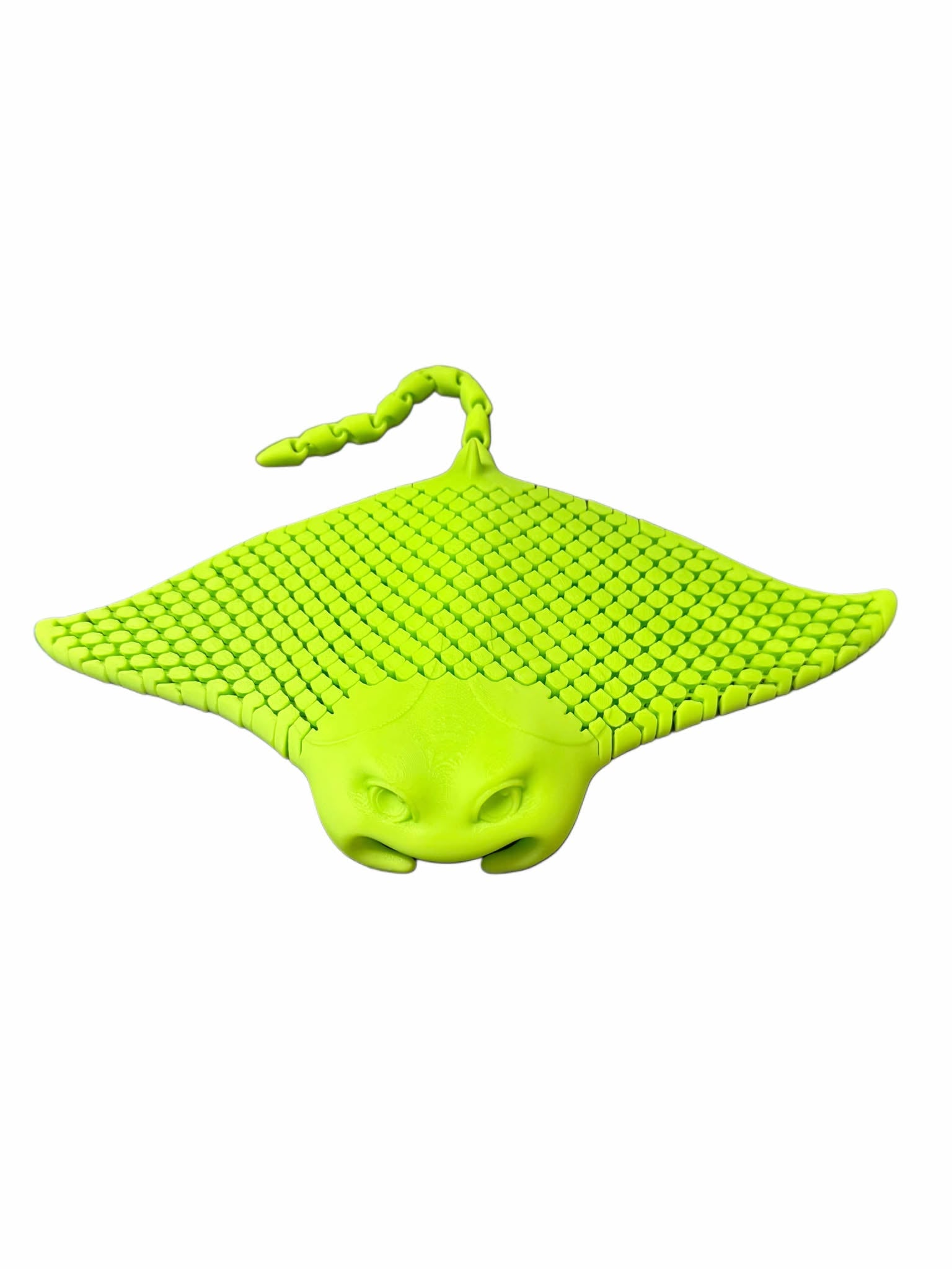 Flexi Articulated Sting Ray