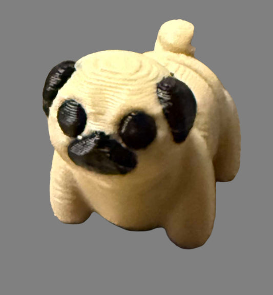 Pug