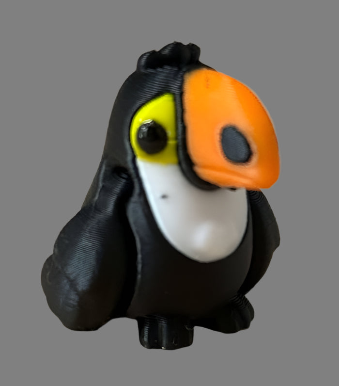 Toucan