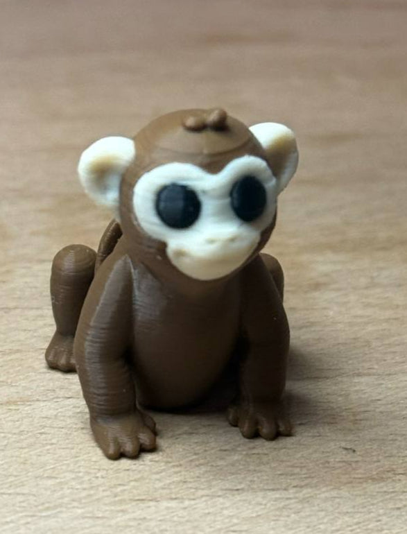 Monkey