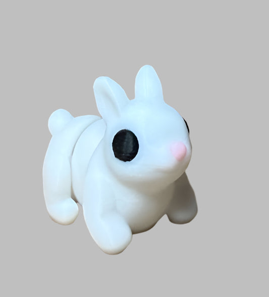 Rabbit