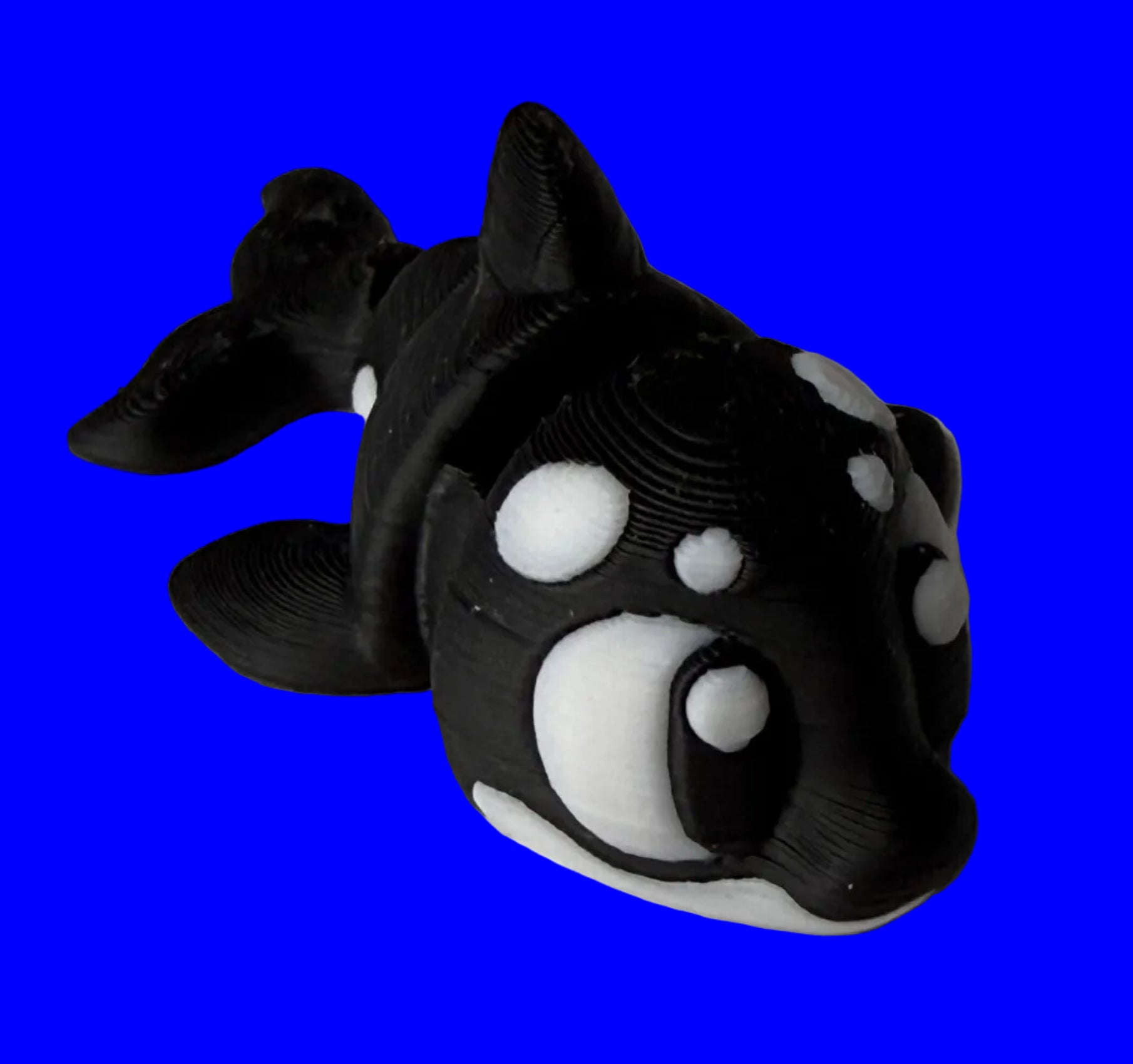 Killer Whale